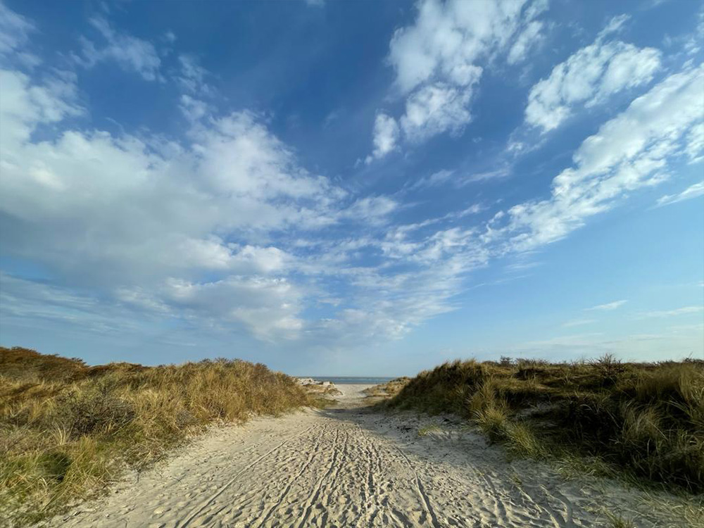 strand-2